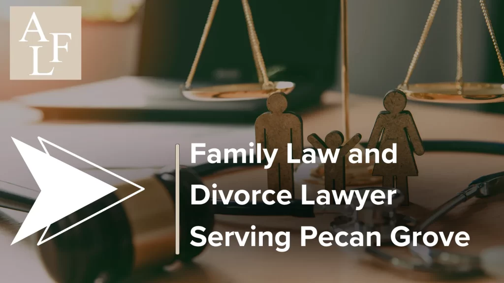Family Law and Divorce Lawyer Serving Pecan Grove Image